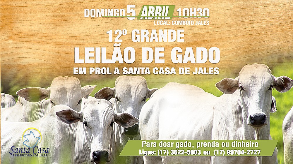 12º Grande Leilão de Gado em prol da Santa Casa de Jales ocorre no próximo mês
