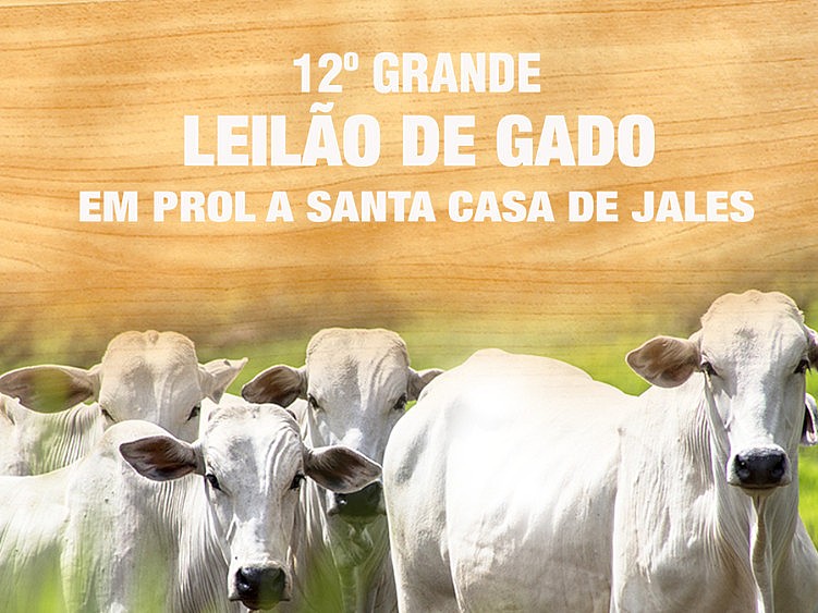 Santa Casa de Misericórdia de Jales pede doações para 12º Leilão de Gado que será realizado dia 23 de outubro