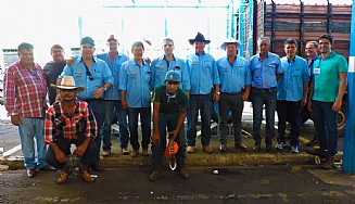 “10º Grande Leilão de Gado em prol da Santa Casa de Jales superou expectativas