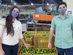 Santa Casa de Misericórdia de Jales recebe doações de limões para a campanha “Pomar Solidário